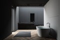 Gray white loft bathroom, tub and sink, side view Royalty Free Stock Photo