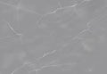 Gray and white Mable texture for background  vector art illustration Royalty Free Stock Photo