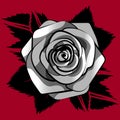 Gray white roses pattern seamless with black leafs on red background, vector repeat tile flower Royalty Free Stock Photo