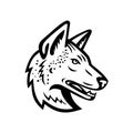 Gray Wolf or Arabian Wolf Head Mascot Black and White