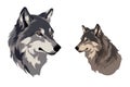 Gray Wolf, Minimalist Style, White Background Cartoonish, Flat Illustration.. Generative AI