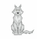 Gray wolf sits