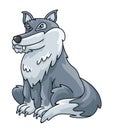 Gray Wolf Sitting Quietly Color Illustration Design