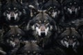 Gray wolfs background. Generative AI