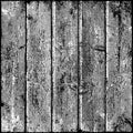 Gray wood texture with realistic natural structure