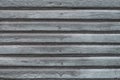 Gray wooden planks with hobnail. Grey old painted wood fence with spike. Gray ribbed wooden surface. Texture of oak planks.