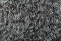 Gray wool texture background, cotton wool, grey fleece, dark fluffy fur, curly hair Royalty Free Stock Photo