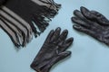 Gray woolen scarf and black leather gloves on light blue background Royalty Free Stock Photo