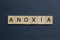 Gray word anoxia from small wooden letters Royalty Free Stock Photo