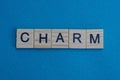 Gray word charm from small wooden letters