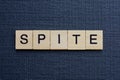 Gray word spite from small wooden letters Royalty Free Stock Photo