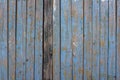 Gray yellow old fence wall of wooden planks with blue peeling paint and cracks and one dark board. vertical lines. rough surface Royalty Free Stock Photo