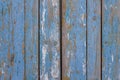 Gray yellow old fence a wall of wooden planks with blue peeling paint and cracks and white spots close-up. vertical lines. rough Royalty Free Stock Photo