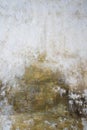 Gray-yellow old wall with layers of paint. Concrete texture. Oil paint on canvas Royalty Free Stock Photo