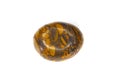 Gray, yellow and orange Bamboo leaf jasper chalcedony