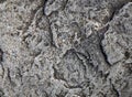 Graye stone texture or background. Selective focus Royalty Free Stock Photo
