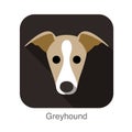 Grayhound dog face flat icon Royalty Free Stock Photo