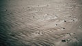 Grayish-brown textured sandy surface with small rocks.