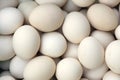 Grayish eggs Royalty Free Stock Photo