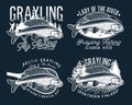 Grayling Fly Fishing Logo. The Lady of the River Royalty Free Stock Photo