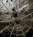 Grayscale of an artificial spider web with a fly on background of weathered brick wall Royalty Free Stock Photo