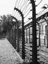 Grayscale of a barbed wire fence at Auschwitz concentration camp in Poland Royalty Free Stock Photo