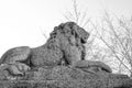 Grayscale of a beautiful sculpture of a majestic male lion sitting proudly in a park outside