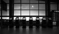 Grayscale beautiful shot of airport terminals on moonlight background