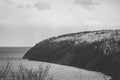 Grayscale beautiful view of trees on a hill and a lake under the cloudy sky