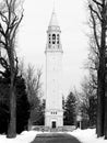 Grayscale of the Bell tower at the Nemours Estate