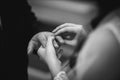 Grayscale closeup of the bride putting the wedding ring on her groom's finger