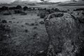 Grayscale closeup of the granite rock in Malpartida de Caceres, Extremadura, Spain