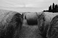 Grayscale closeup of the hay bales in the field. Tuscany, Italy. The countryside landscape. Royalty Free Stock Photo