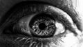 Grayscale closeup macro shot of the details of a human eye