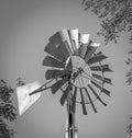 Grayscale closeup of old metal farm windmill by tree branches Royalty Free Stock Photo