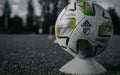 Grayscale closeup shot of an Adidas Nativo MLS Soccer ball on the field