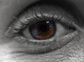 Grayscale closeup shot of a brown human eye Royalty Free Stock Photo