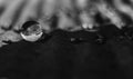 Grayscale closeup shot of a  small glass sphere reflecting its surroundings within itself Royalty Free Stock Photo