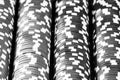 Grayscale closeup shot of stacks of poker chips