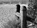 Grayscale closeup of a wooden fence on a beach with plants growing Royalty Free Stock Photo