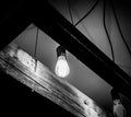 Grayscale of a decorative light bulb hanging in a cafe