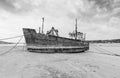 Grayscale of a ferry side abandoned wales boat on the sandy beach, cloudy sky background