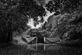 Grayscale of the Five Rise Locks in Bingley and yellow trees captured on an autumn day