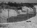 Grayscale of flip flops on a sandy beach against a wooden fence and shrubs