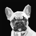 Grayscale french bulldog illustration