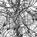 Grayscale / greyscale abstract art with deformation, distortion effect on random lines. Random, chaotic texture. Distress mix of