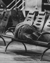 Grayscale of a homeless person sleeping on the station chairs