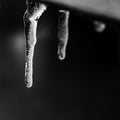 Grayscale of ice crystals at night with free space for text