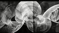 A grayscale image of a pair of yin yang symbols made of twisting, organic shapes. AIG51A