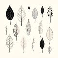 Grayscale impressions: depicting the beauty of black and white botanicals Royalty Free Stock Photo